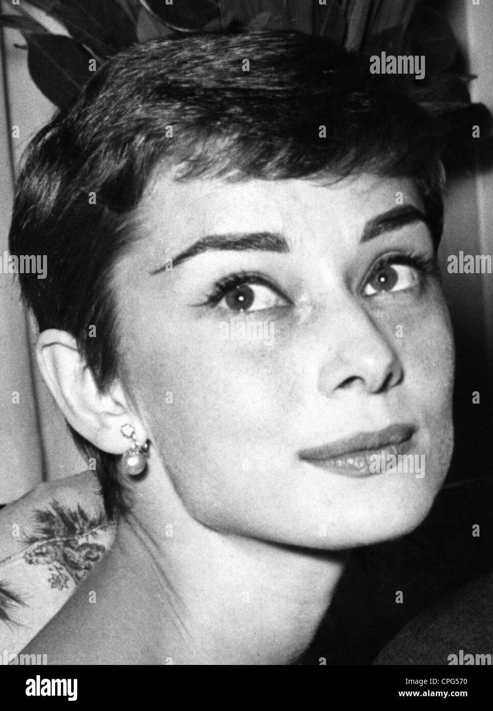 Hepburn, Audrey, 4.5.1929 - 20.1.1993, British actress, portrait, 30.9.1954, Stock Photo