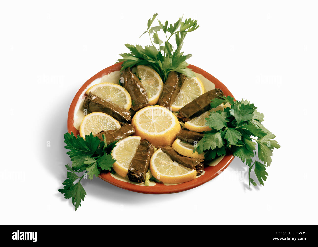 Stuffed GrapeVine Leaves served as appetizer,Dolmas Stock Photo Alamy