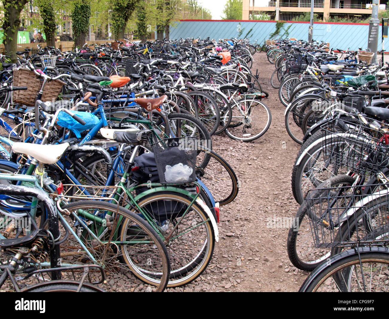 Bicycle park, Cambridge station, UK Stock Photo Alamy