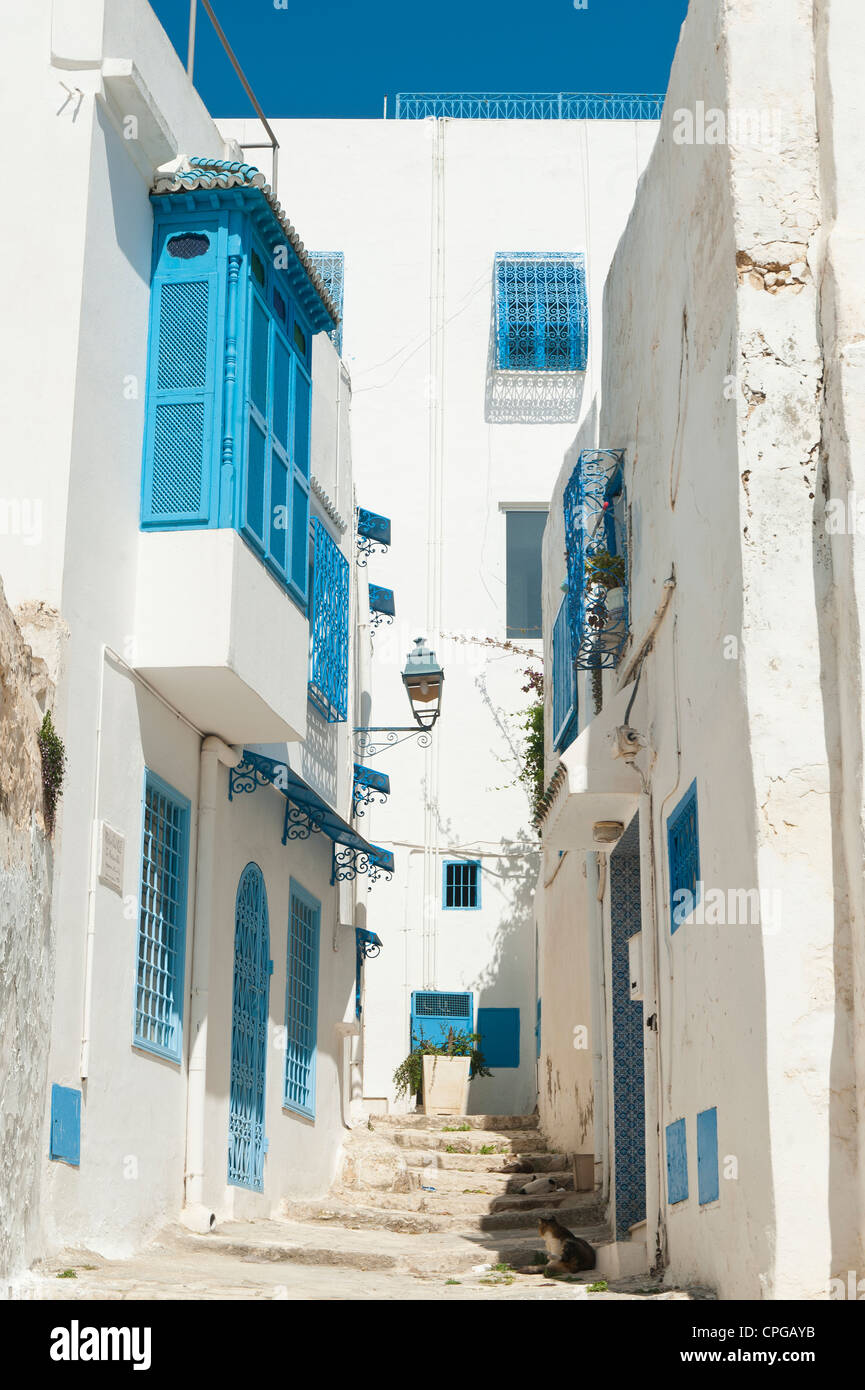 sidi-bou-said-tunisia-alley-with-traditional-white-houses-and-blue