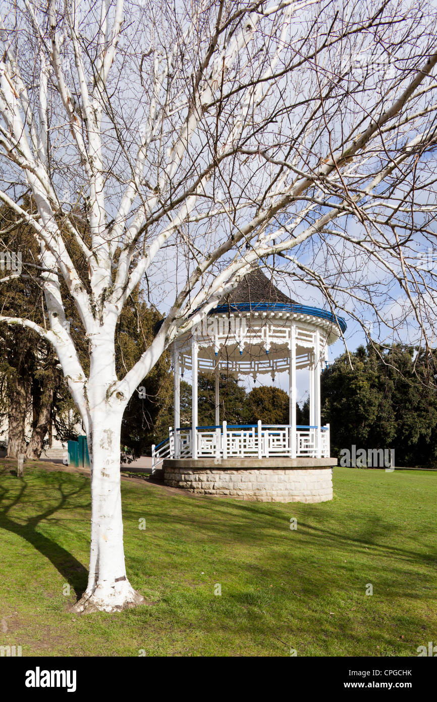 A silver birch tree in front of the restored Regency bandstand next to the Pittville Pump Rooms, Cheltenham Spa, Gloucestershire Stock Photo