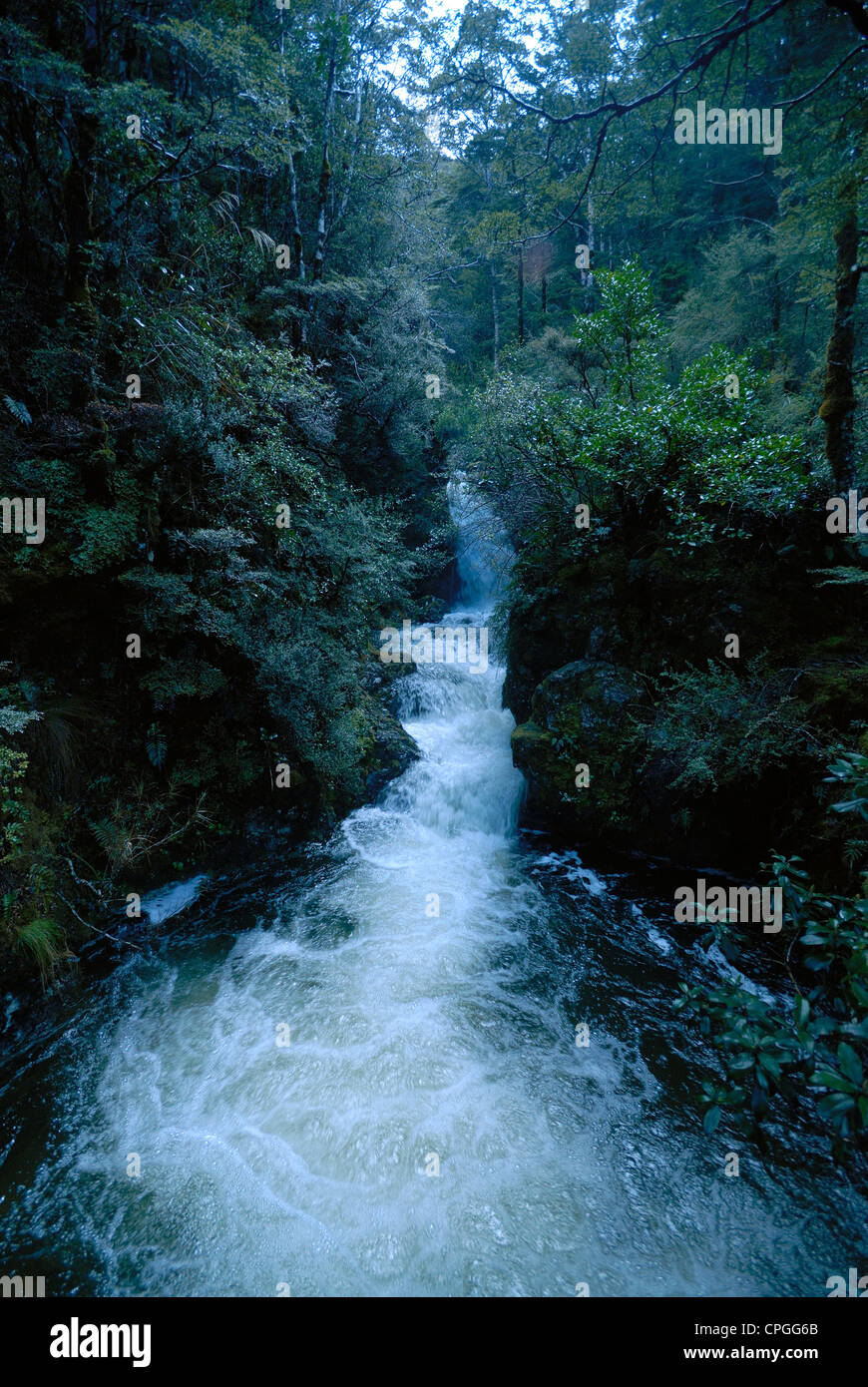 A stream in Arthur's Pass, New Zealand Stock Photo