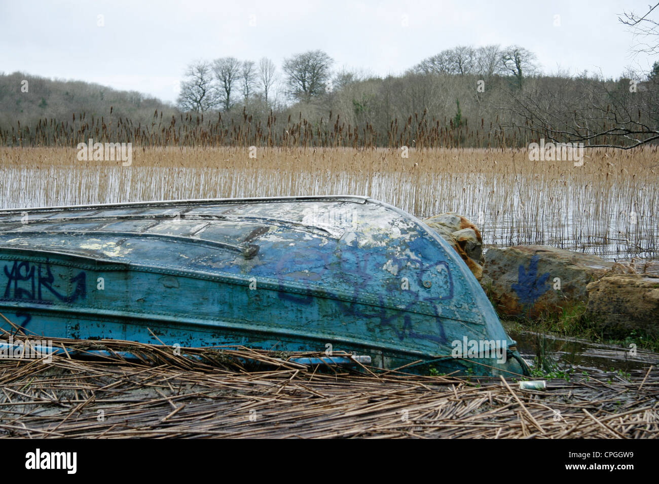 Small blue flat-bottom aluminium boat lying upside down by lake shore. Stock Photo