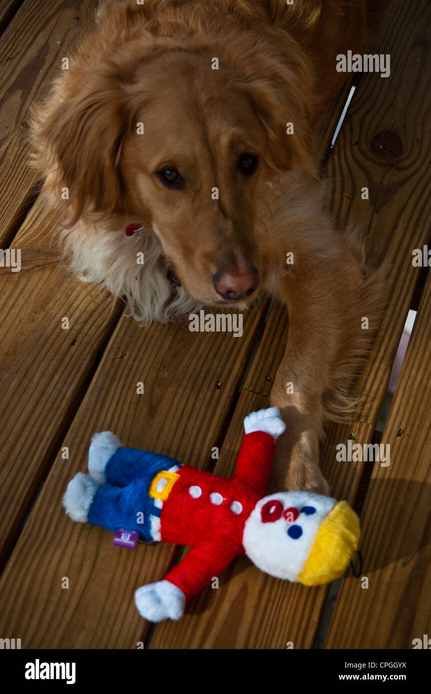 Mr. Bill character doll and dog Stock Photo Alamy