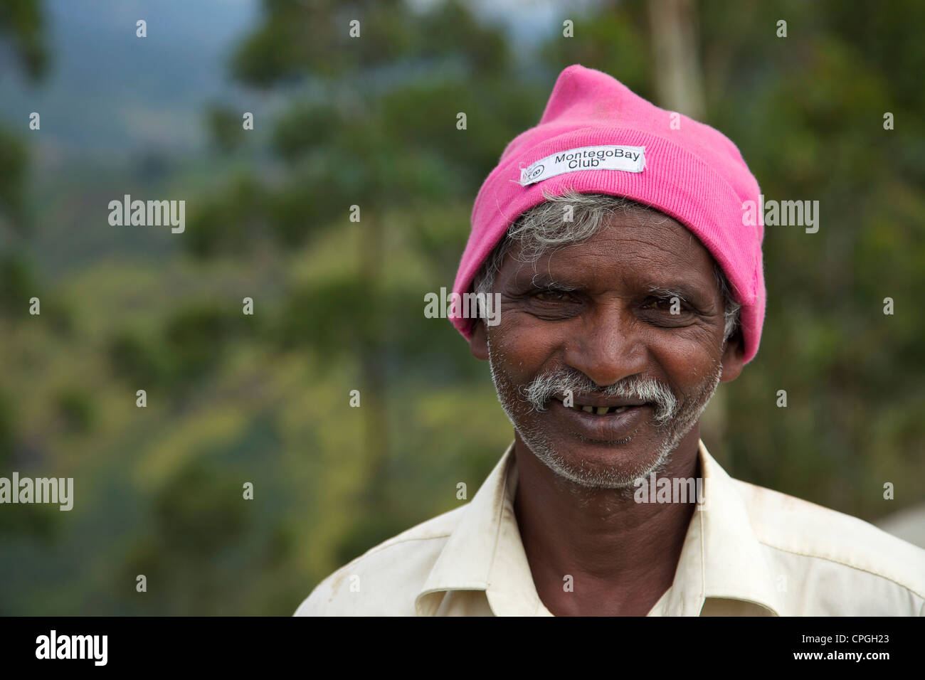Tamil worker on tea plantation near Nuwara Eliya, Sri Lanka, Asia Stock Photo