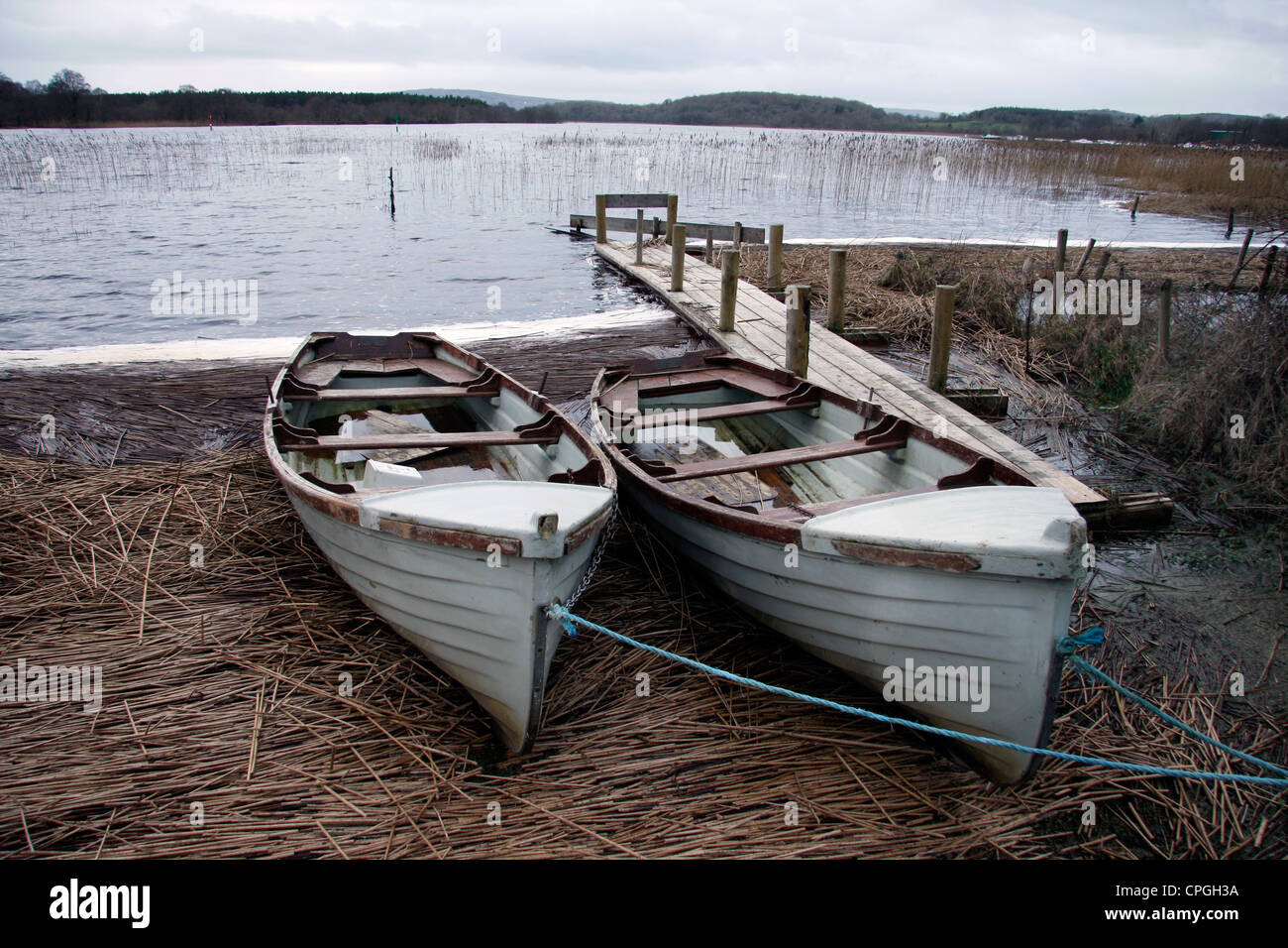 Two rowing boats tied up by lake shore. Stock Photo