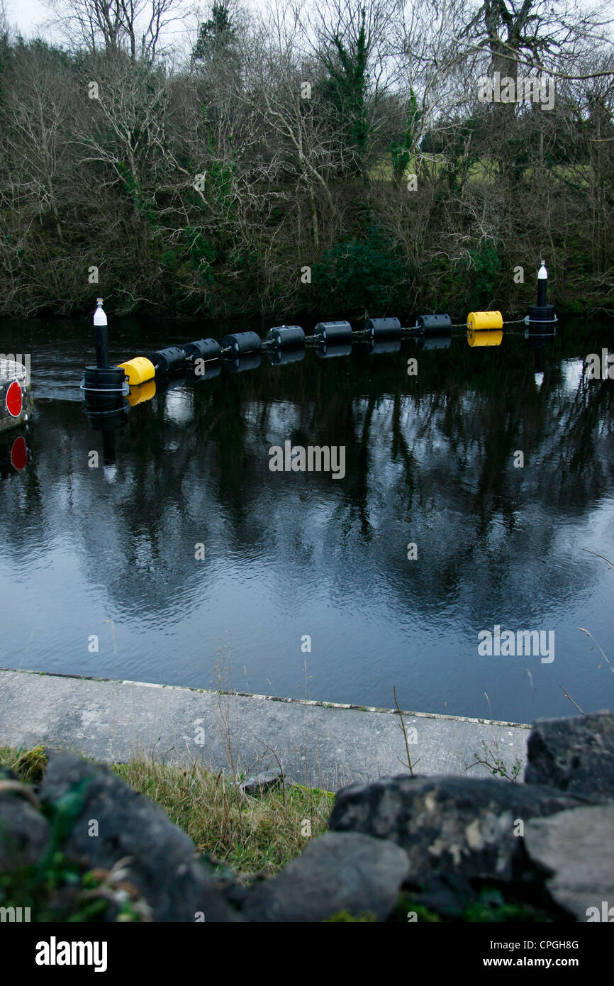 Tree line reflected in canal water Stock Photo