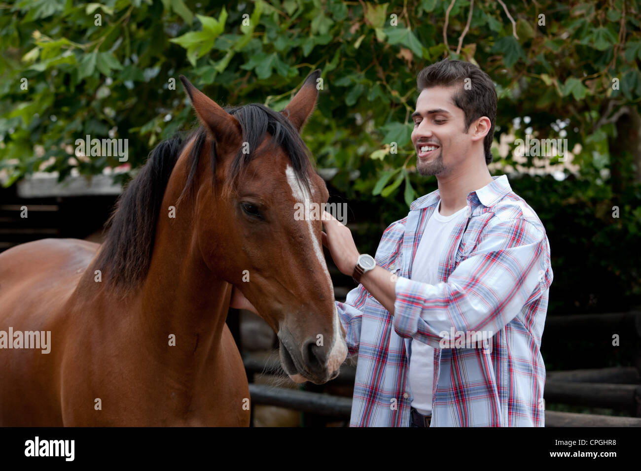 Man holding a horse, smiling Stock Photo - Alamy