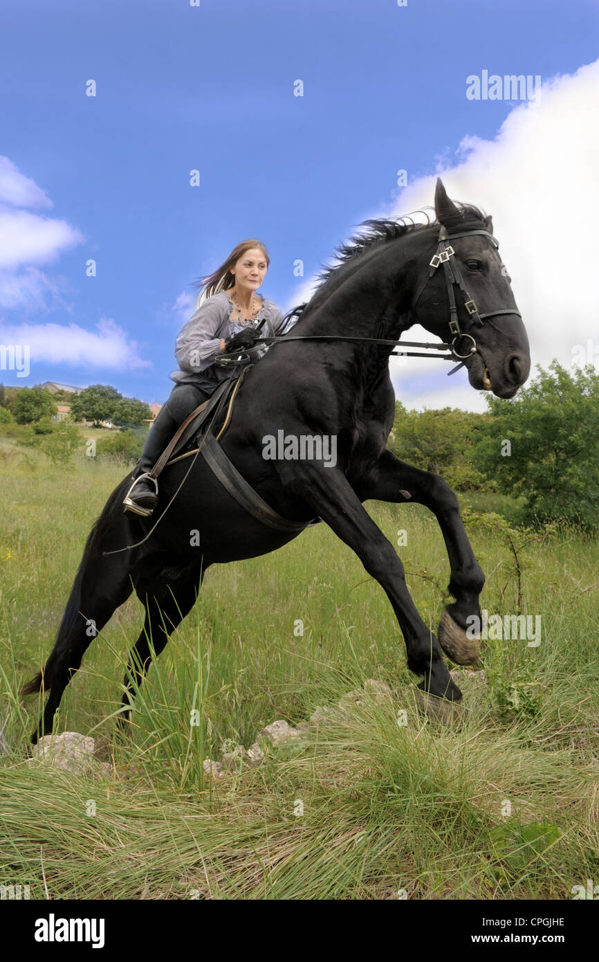 young woman and her black stallion in a field Stock Photo