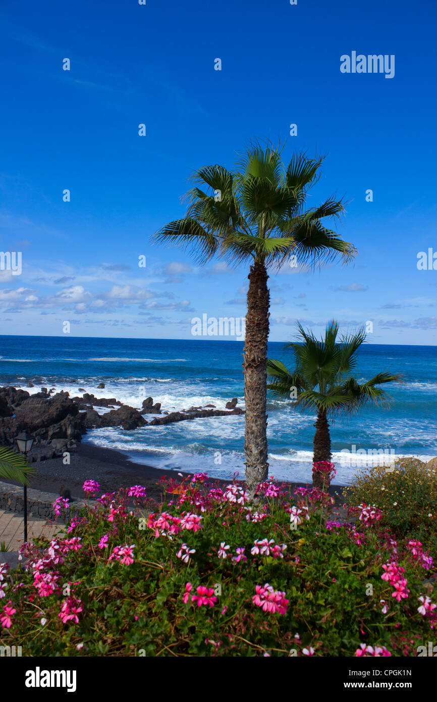 black sand of playa Jardin (beach garden),Puerto de la Cruz, Tenerife, Spain Stock Photo