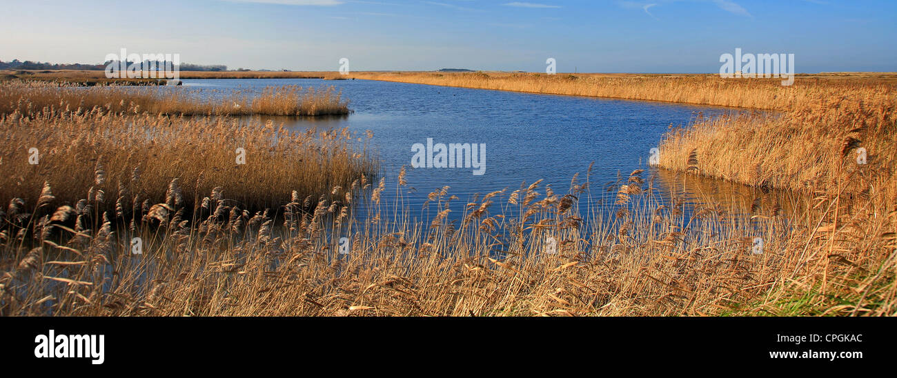 A view over reedbeds in the Titchwell Marsh RSPB Reserve, North Norfolk Coast, England, UK Stock Photo
