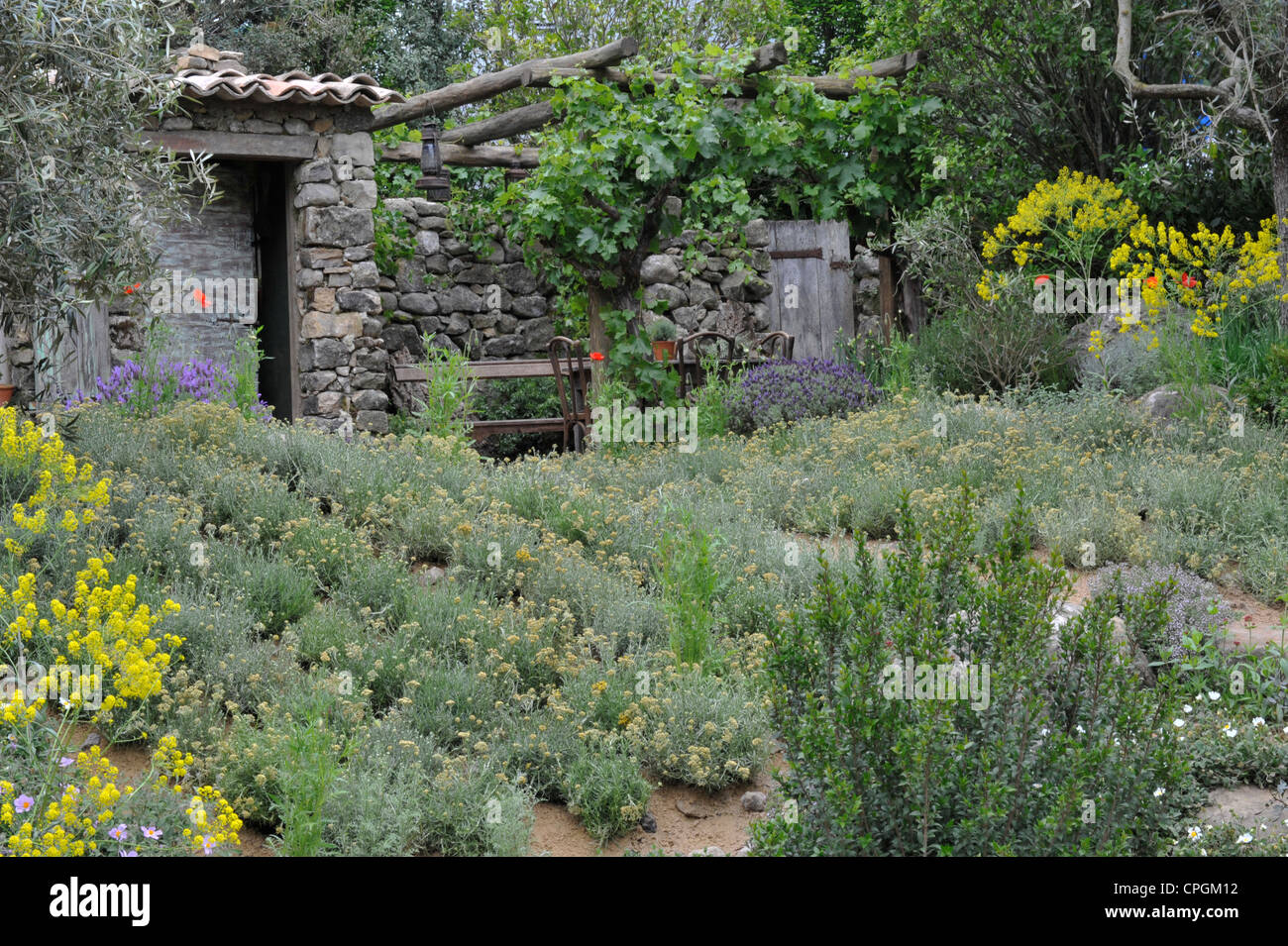 Rural cottage garden Stock Photo - Alamy
