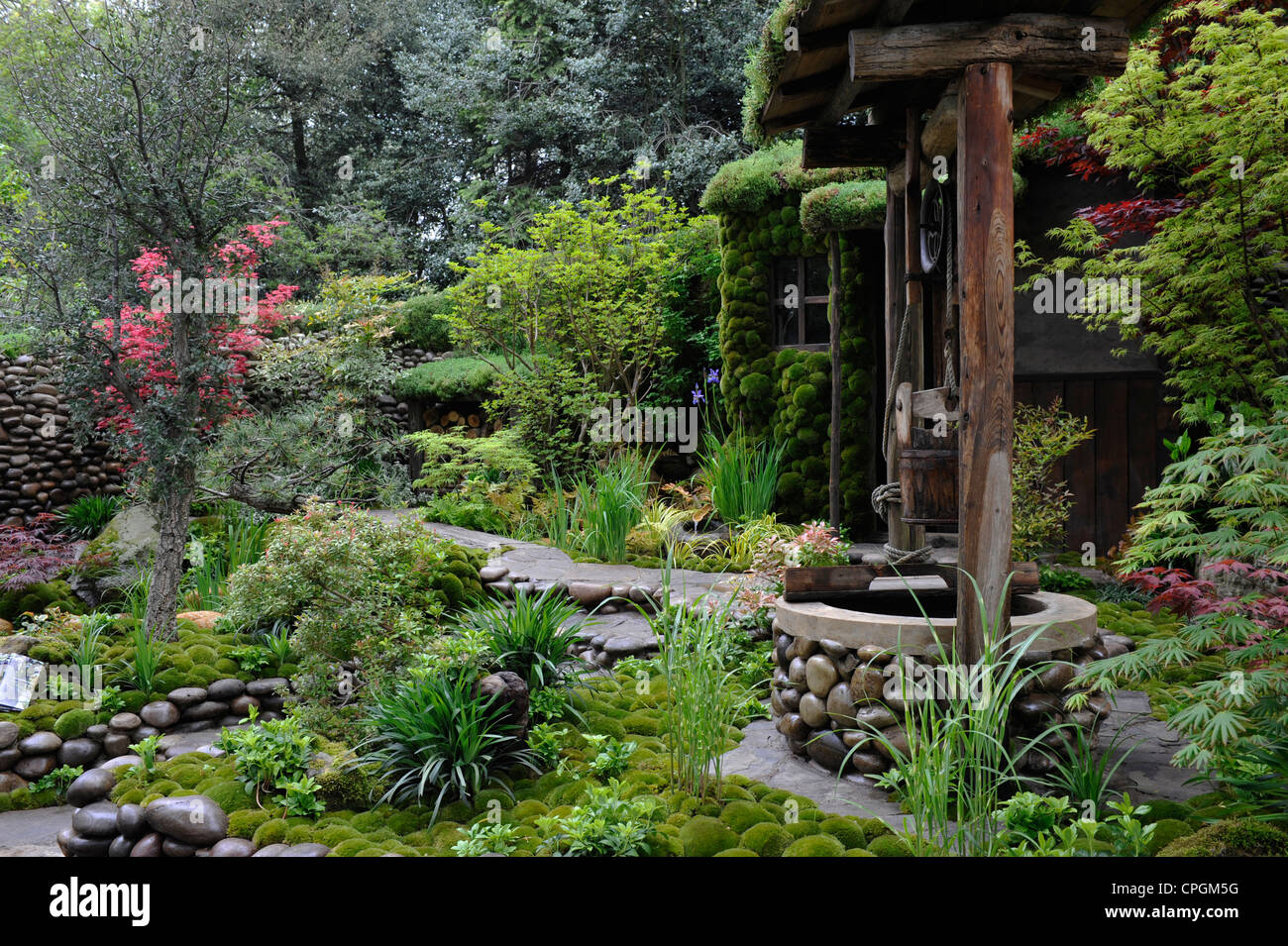 chinese japanese styled moss garden taken at chelsea flower show