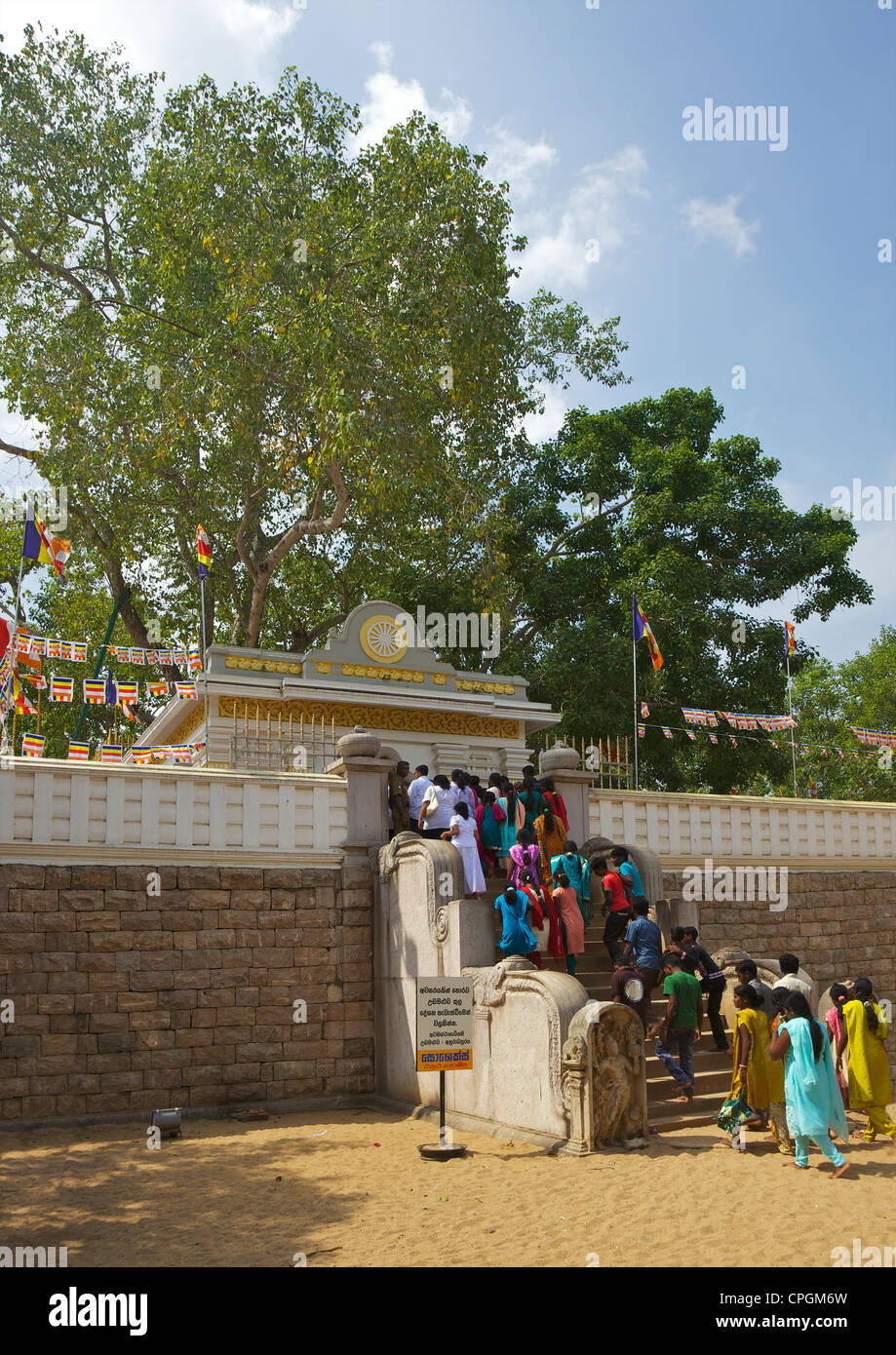 Buddhist pilgrims visit Sri Maha Bodhi, sacred bodhi tree planted in 249 BC, UNESCO World Heritage Site, Anuradhapura Sri Lanka Stock Photo