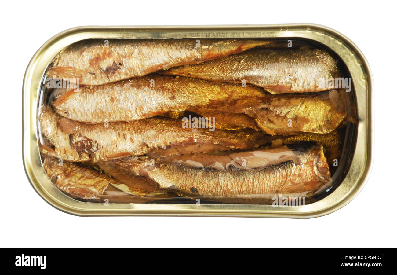 isolated blank tin of fish over white including clipping path Stock Photo