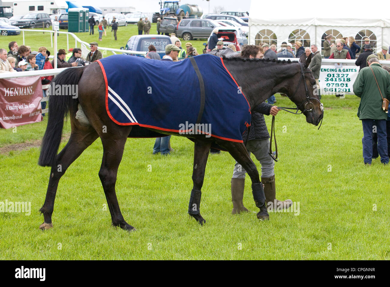 Cooling down horse hires stock photography and images Alamy