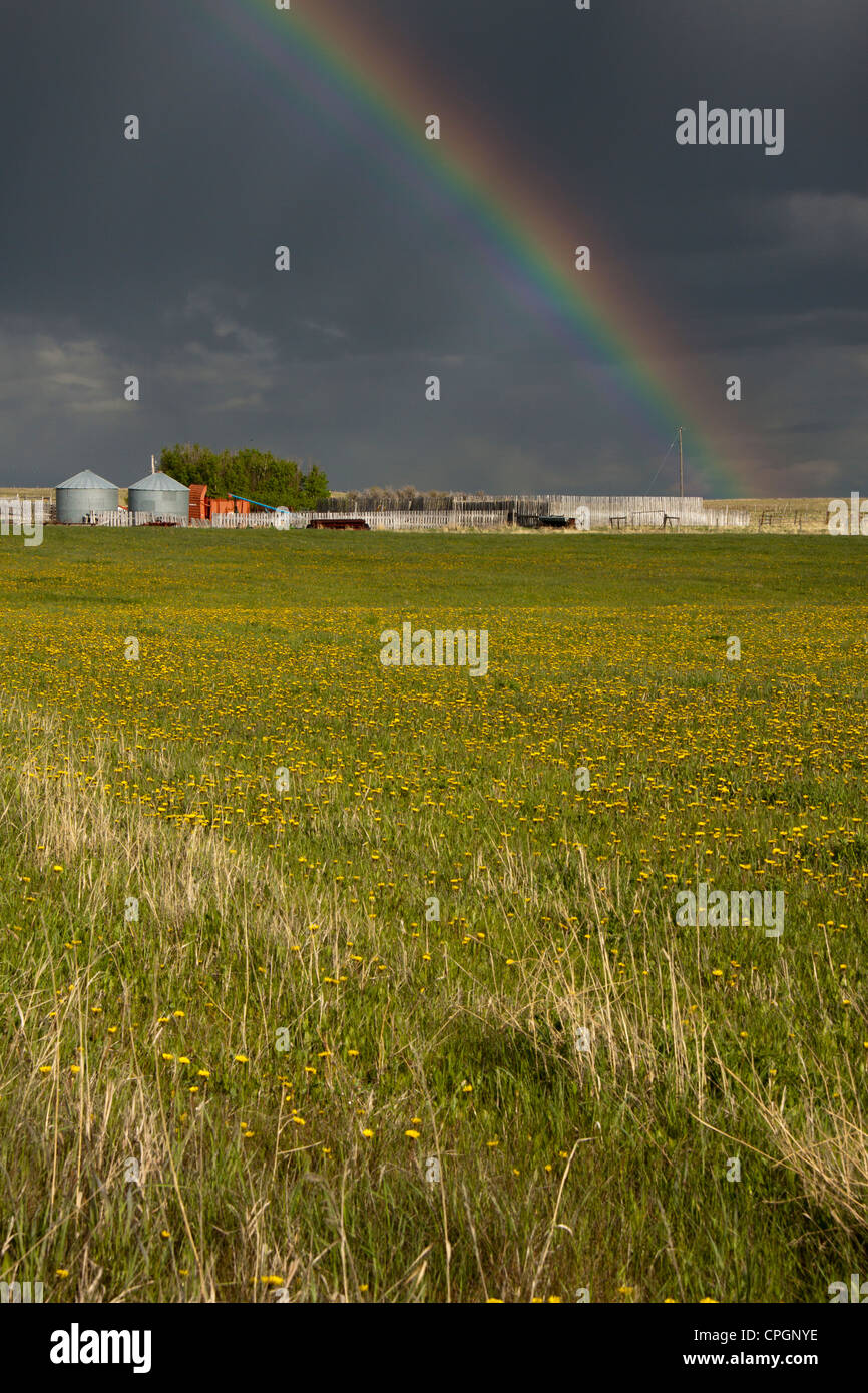 Rainbow over Canadian prairie farm Stock Photo