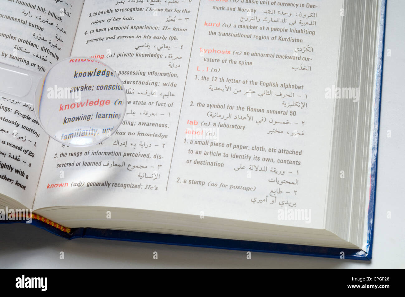 Magnifier on dictionary, closeup, elevated view Stock Photo Alamy