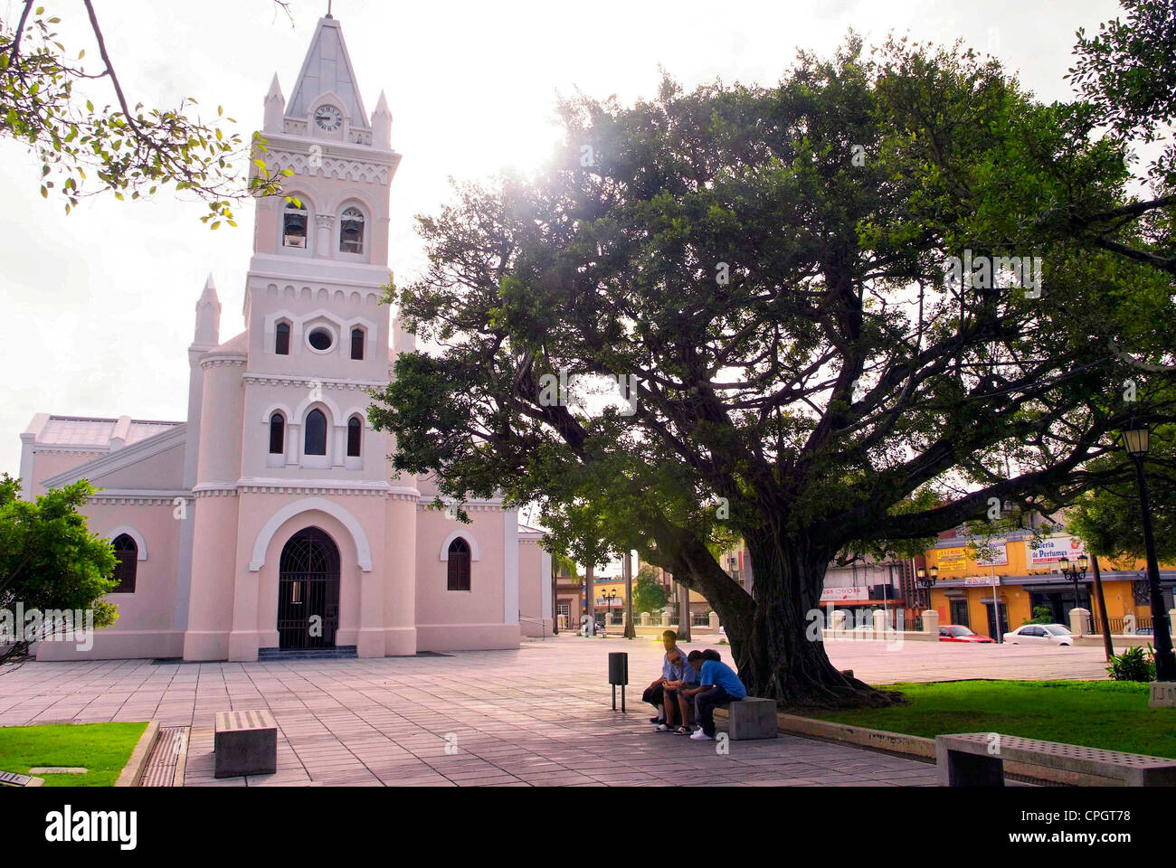 hahahahahahahaha I am hiding! - Picture of Humacao, Puerto Rico