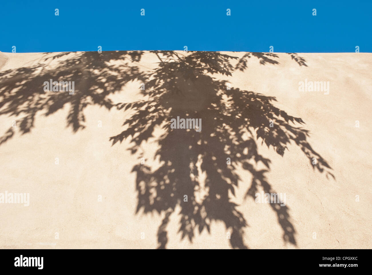 Hanging branches create wonderful shadows on an adobe wall in Santa Fe. Stock Photo