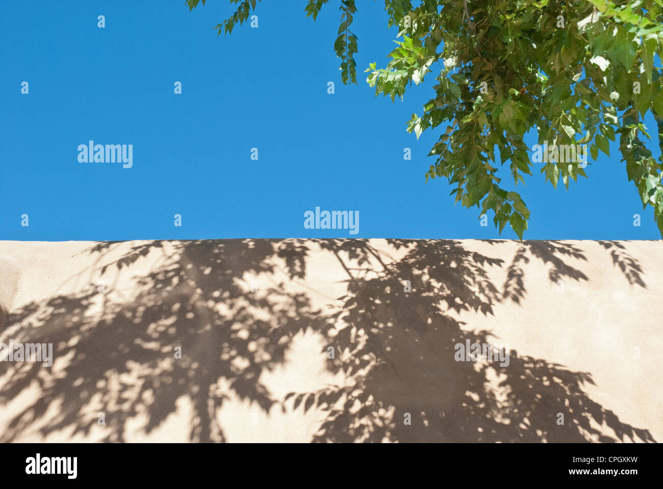 Hanging branches create wonderful shadows on an adobe wall in Santa Fe. Stock Photo