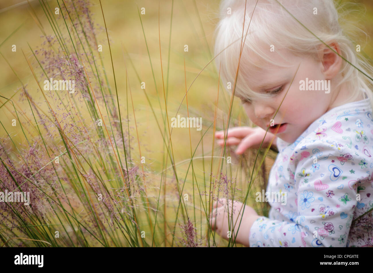 Two-year-old girl exploring the tall grass of a park Stock Photo