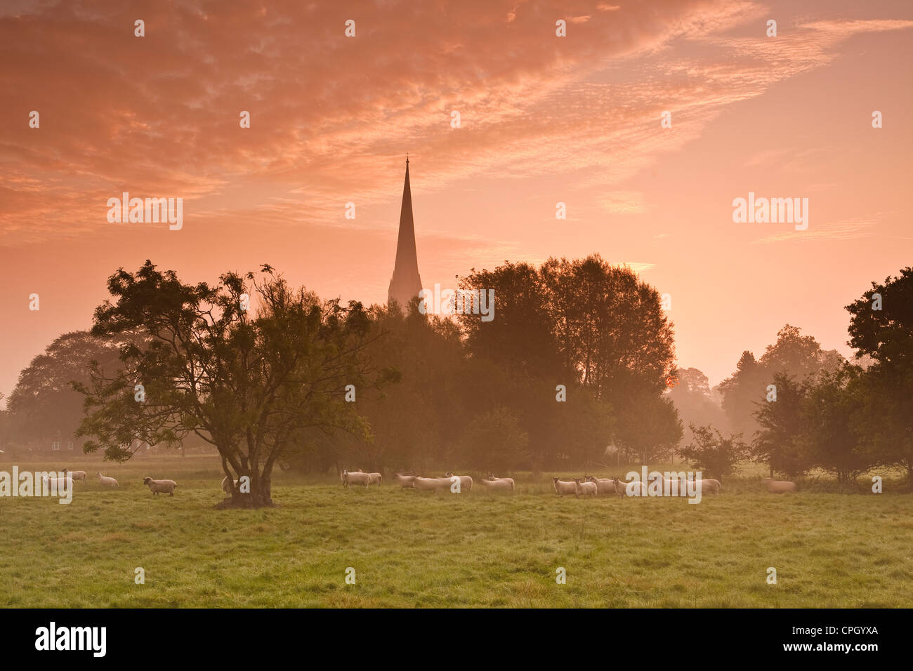 Dawn on the west Harnham water meadows with Salisbury cathedral in the