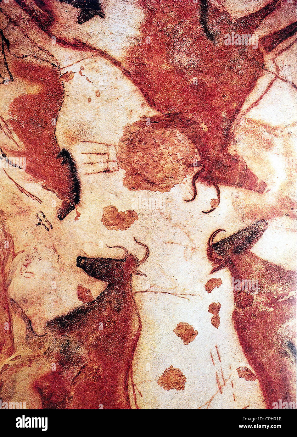 prehistory, cave-painting, Lascaux, reindeer, cows and wild horse, rock painting, detail, ochre, France, circa 14000 BC, ocher, yellow earth , spruce ochre , rud, rudd, rock paintings, wild horses, reindeer, historic, historical, prehistoric, fine arts, zoology, animals, Stone age, Paleolithic, Palaeolithic, old stone age, horse, painting, ancient world, Artist's Copyright has not to be cleared Stock Photo