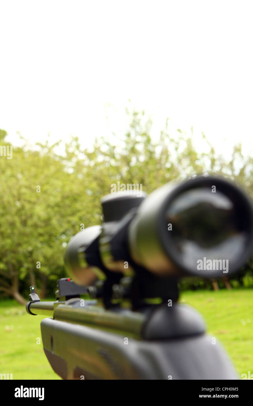 looking along a telescopic sight and down the barrel of an air rifle with trees and grass in the background Stock Photo