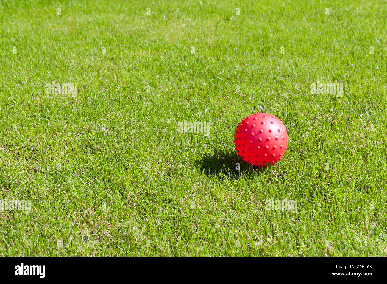 plastic red ball on grass Stock Photo Alamy
