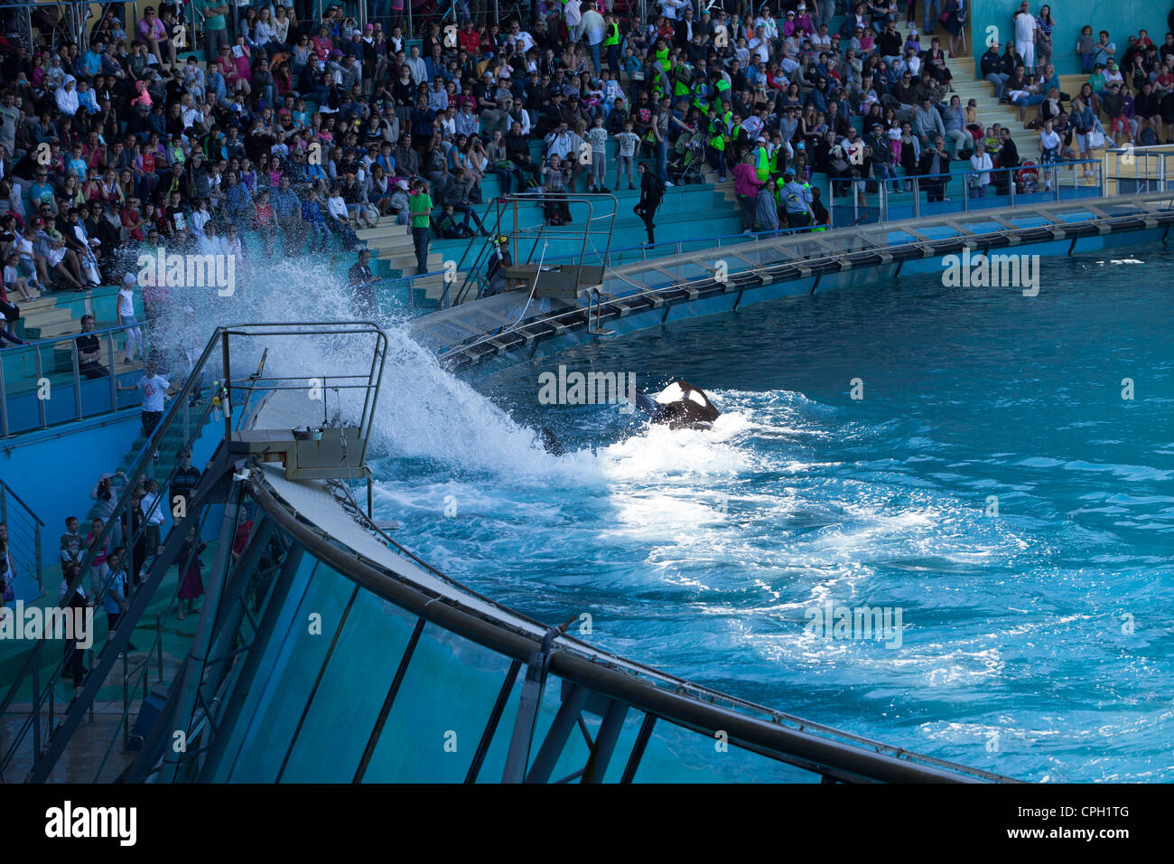 Editorial *** Water Theme Park Marineland, Nicé, France - Whale Show ...
