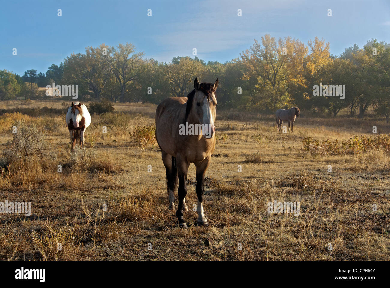Hot springs south dakota hires stock photography and images Alamy