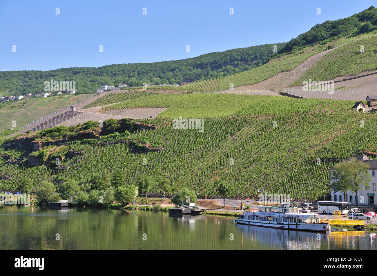 Bernkastel, look, Germany, Europe, Kues, Moselle, Palatinate, Rhineland, wine, wine cultivation, wine-growing, vineyards, Stock Photo