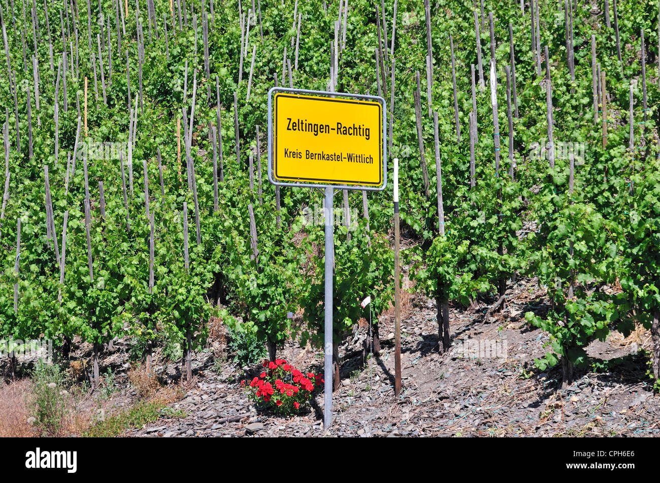 Germany, Europe, Moselle, local sign, Palatinate, Rachtig, Rhineland, valley, wine, wine cultivation, wine-growing, Zeltingen Stock Photo