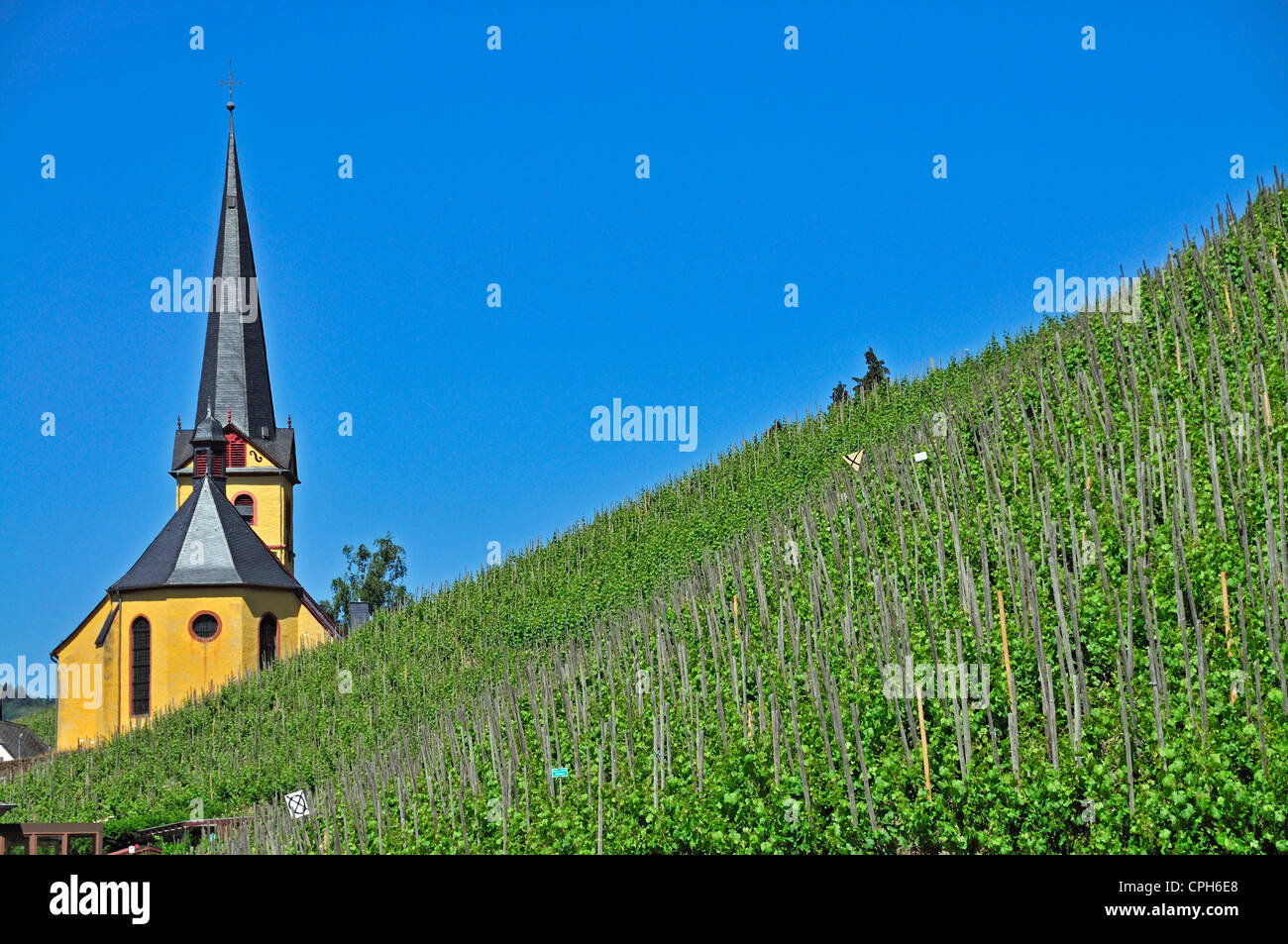 Germany, Europe, Catholic, Moselle, Palatinate, parish church, Rachtig, Rhineland, Stephan, valley, wine, wine cultivation, wine Stock Photo
