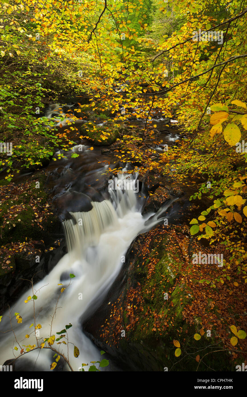 the Birks of Aberfeldy, Perthshire, Scotland Stock Photo