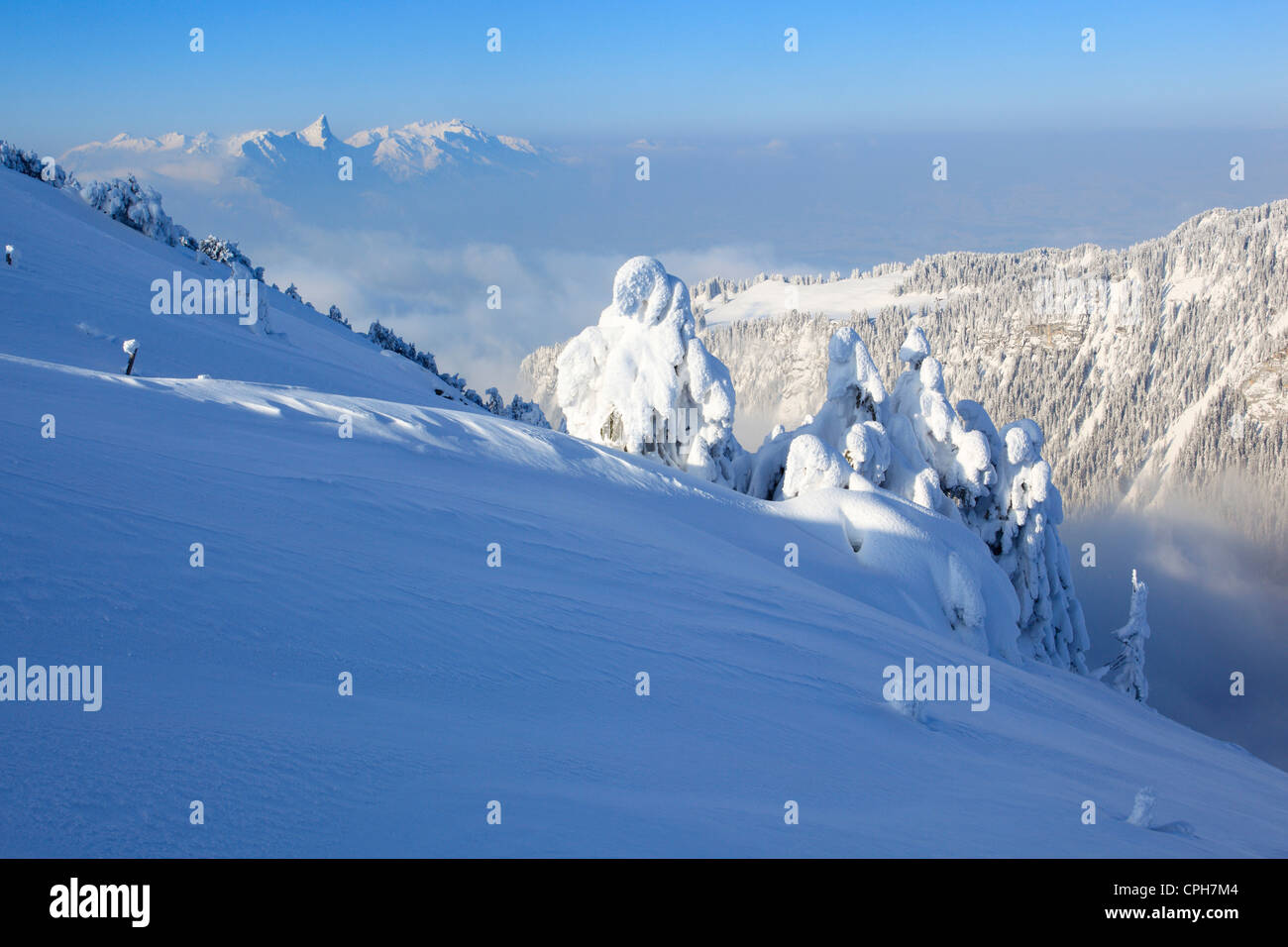 Alps, Alpine panorama, view, tree, mountain, mountains, mountain, mountain panorama, Bern, Bernese Alps, Bernese Oberland, trees Stock Photo