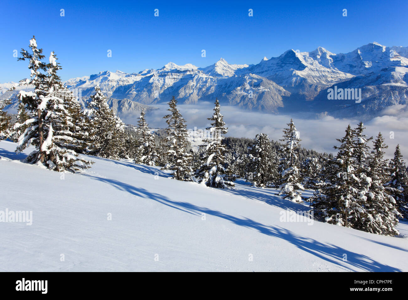 Alps, Alpine panorama, view, tree, mountain, mountains, mountain, mountain panorama, Bern, Bernese Alps, Bernese Oberland, trees Stock Photo