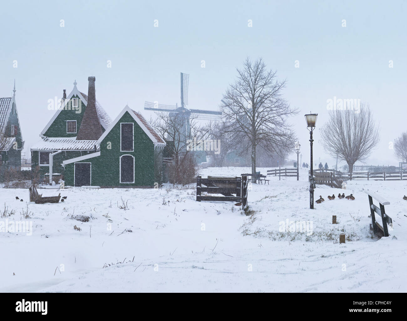 Netherlands, Holland, Europe, Zaandam, Windmill, Field, Meadow, Winter, Snow, Ice, Open-air, museum, De Zaanse Schans, Stock Photo