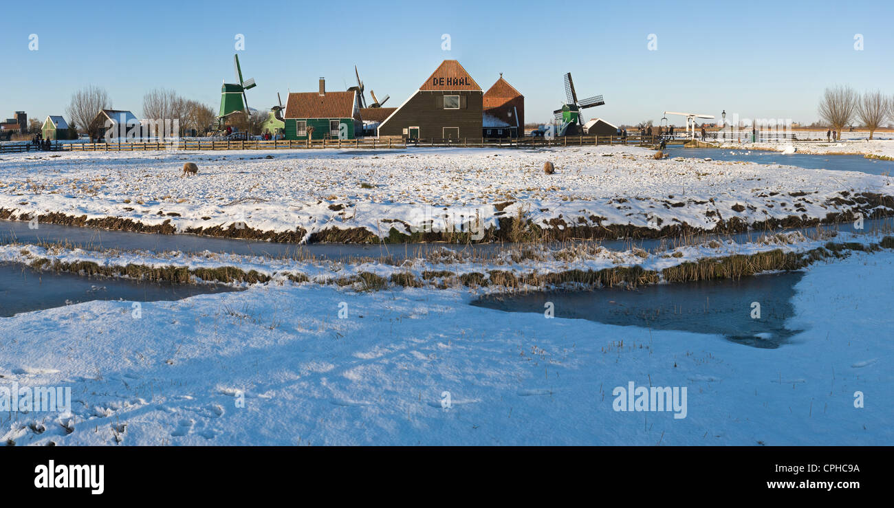 Netherlands, Holland, Europe, Zaandam, Windmill, Farm, Field, Meadow, Winter, Snow, Ice, Open-air, museum, De Zaanse Schans, Stock Photo