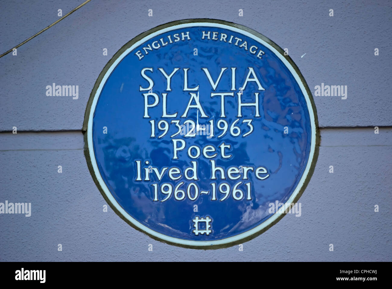 "The Blue-Haired Girl" by Sylvia Plath - wide 2
