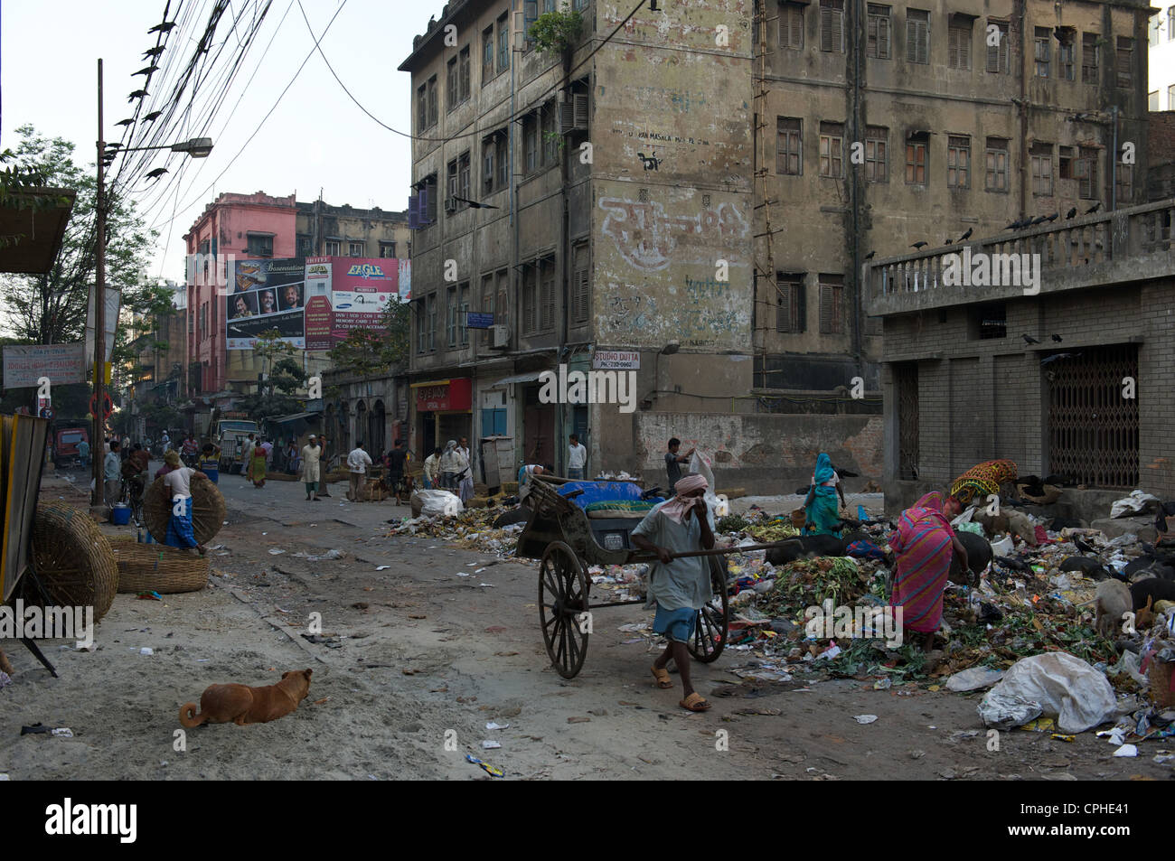 Sudder Street district, Central Calcutta, West Bengal, India Stock Photo