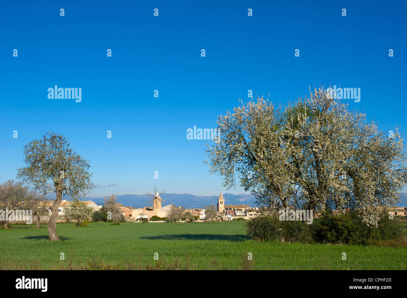 Majorca, Mallorca, Balearic Islands, island, isle, islands, isles, Spain, Europe, Spanish, Europe, European, outdoors, outside, Stock Photo