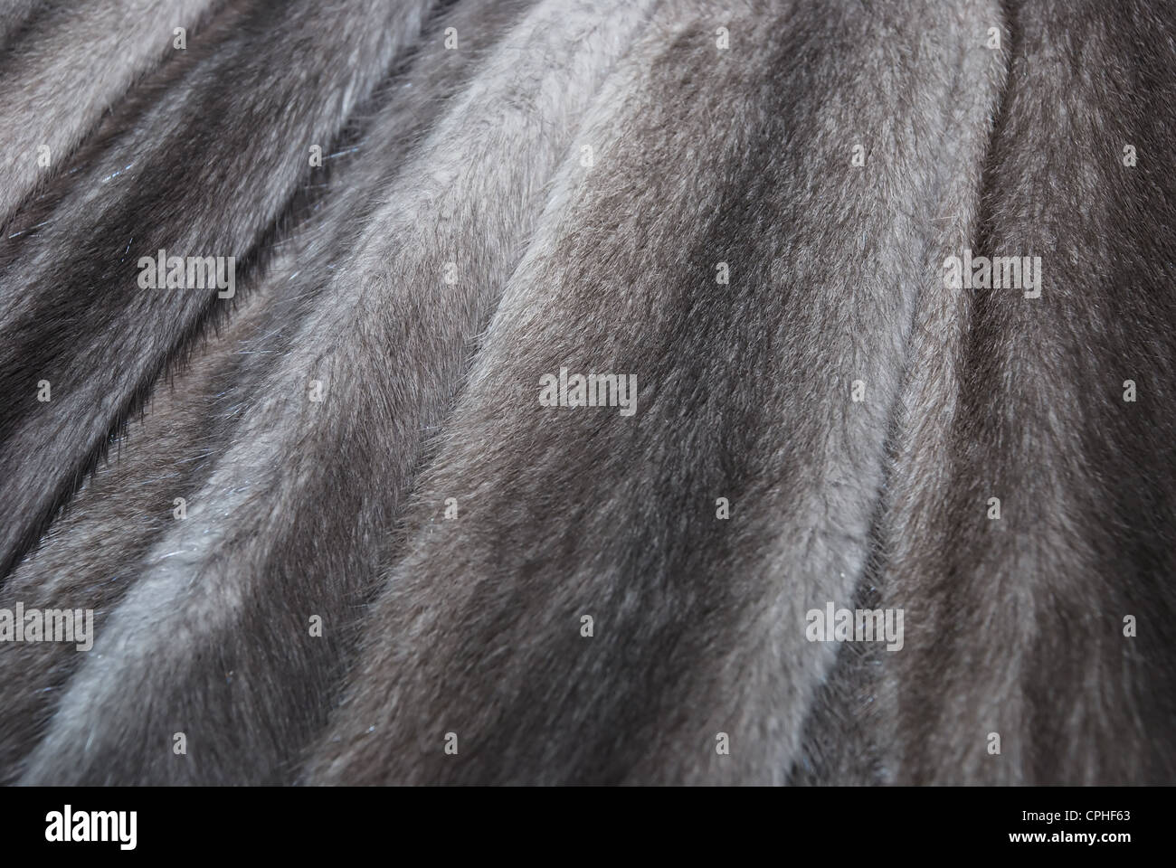furs of polar fox full frame close-up Stock Photo