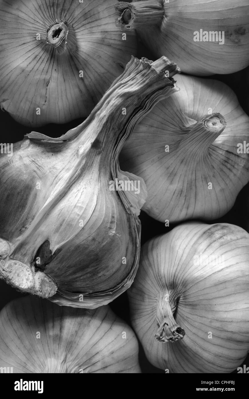 closeup of garlic bulbs and cloves, vertical Stock Photo