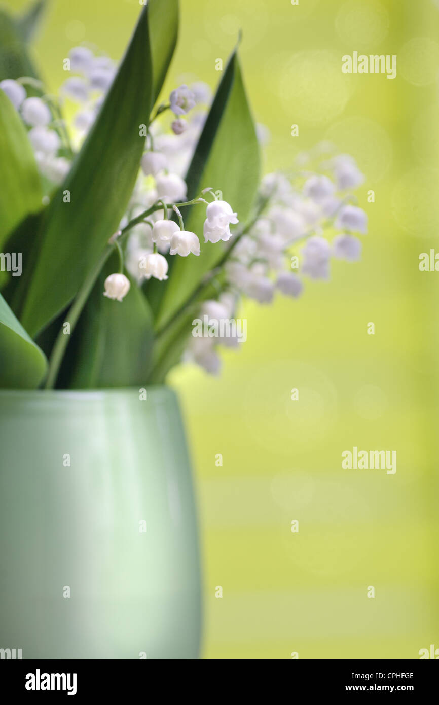 Lily of the vall hi-res stock photography and images - Alamy