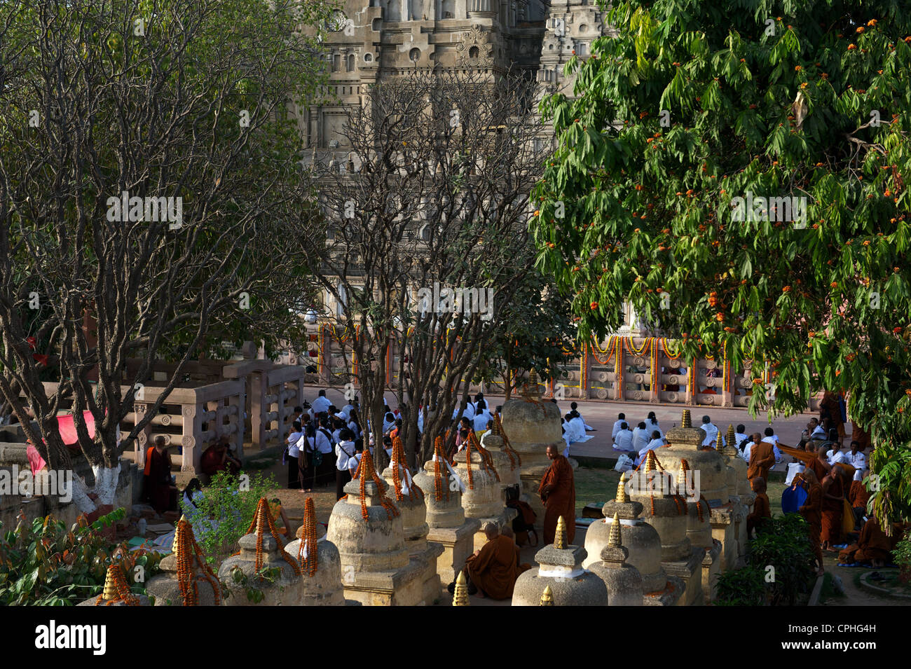 Mahabodhi Temple, home of the Banyan Tree under which the Lord Budha received enlightenment, Bodh Gaya, Bihar, India Stock Photo