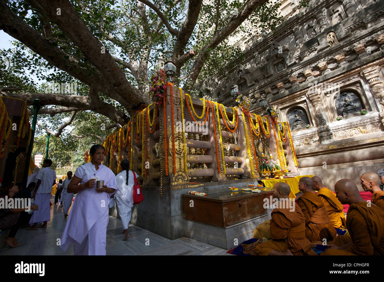 Mahabodhi Temple, home of the Banyan Tree under which the Lord Budha received enlightenment, Bodh Gaya, Bihar, India Stock Photo