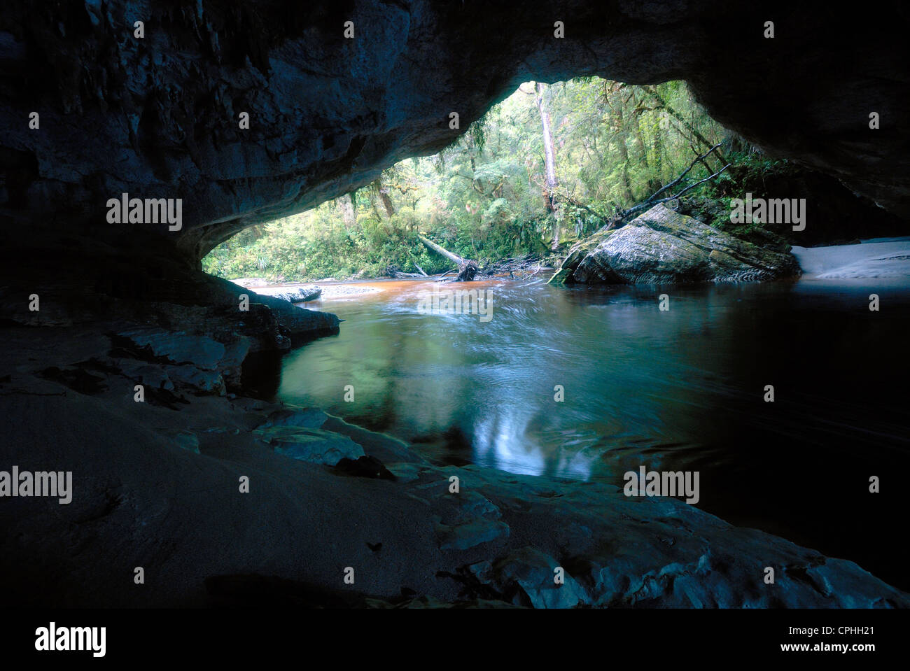 Limestone arches in the Oparara Basin, near Karamea, New Zealand Stock Photo