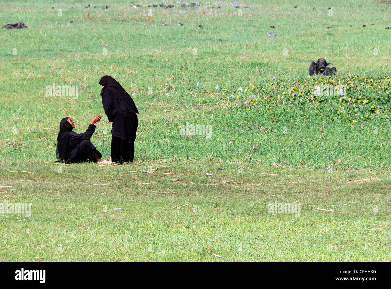Two women resting in a field - Western Thebes, Upper Egypt Stock Photo
